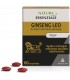 GINSENG READ 60 TABLETS