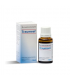 Traumeel Heel 30 ML