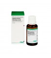 Gelsemium-Homaccord Gotas 30 ML