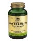 SAW PALMETTO (SERENE REPENS) 60 CAPSULES