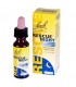 Bach Rescue Remedy Night 20 Ml