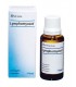 HEEL LYMPHOMYOSOT 30 ML