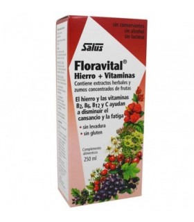 Floradix Floravital 250 ML