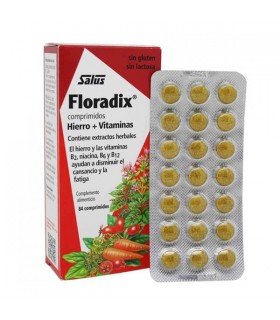 Floradix 84 Comprimidos